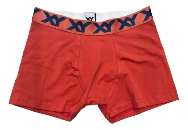 Boxer XY 1387 Liso